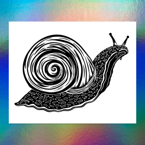 The Snail - Print